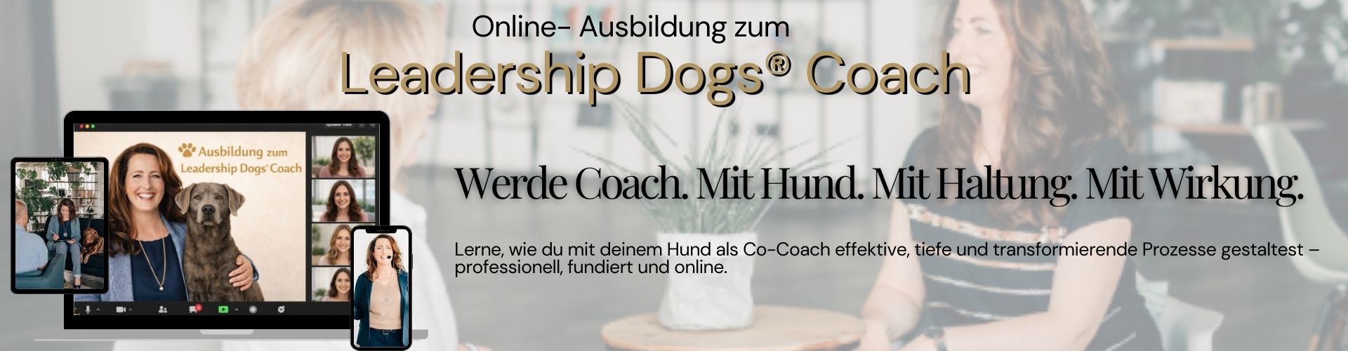 Hundegestütztes Coaching |