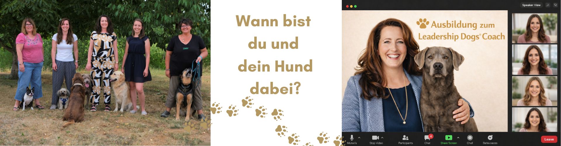 Hundegestütztes Coaching |